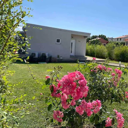 Mare, Istria, Relaxation, Private Pool, Bbq *