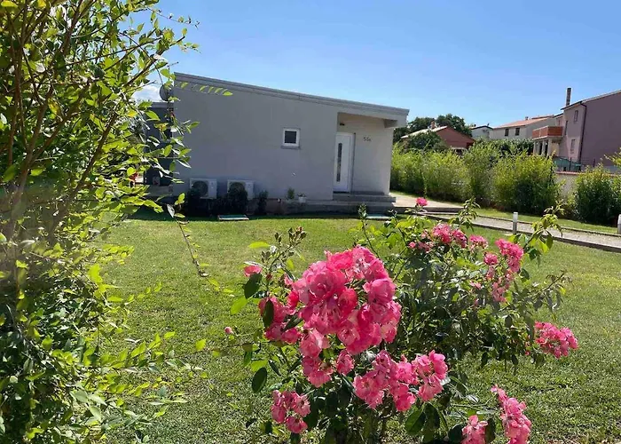 Mare, Istra, Relaxation, Private Pool, Bbq *